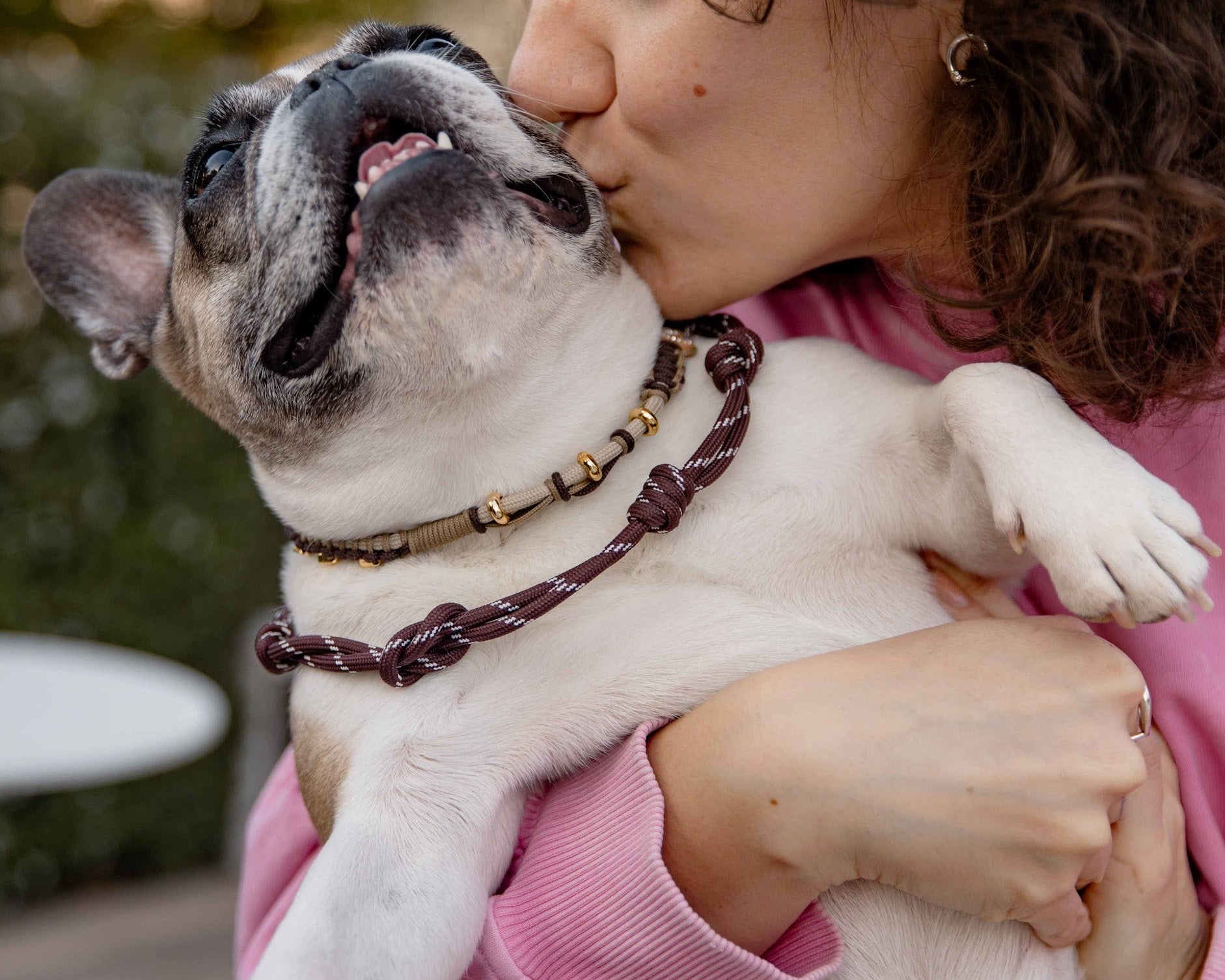 Travelling With Your Dog: The Practical European Checklist