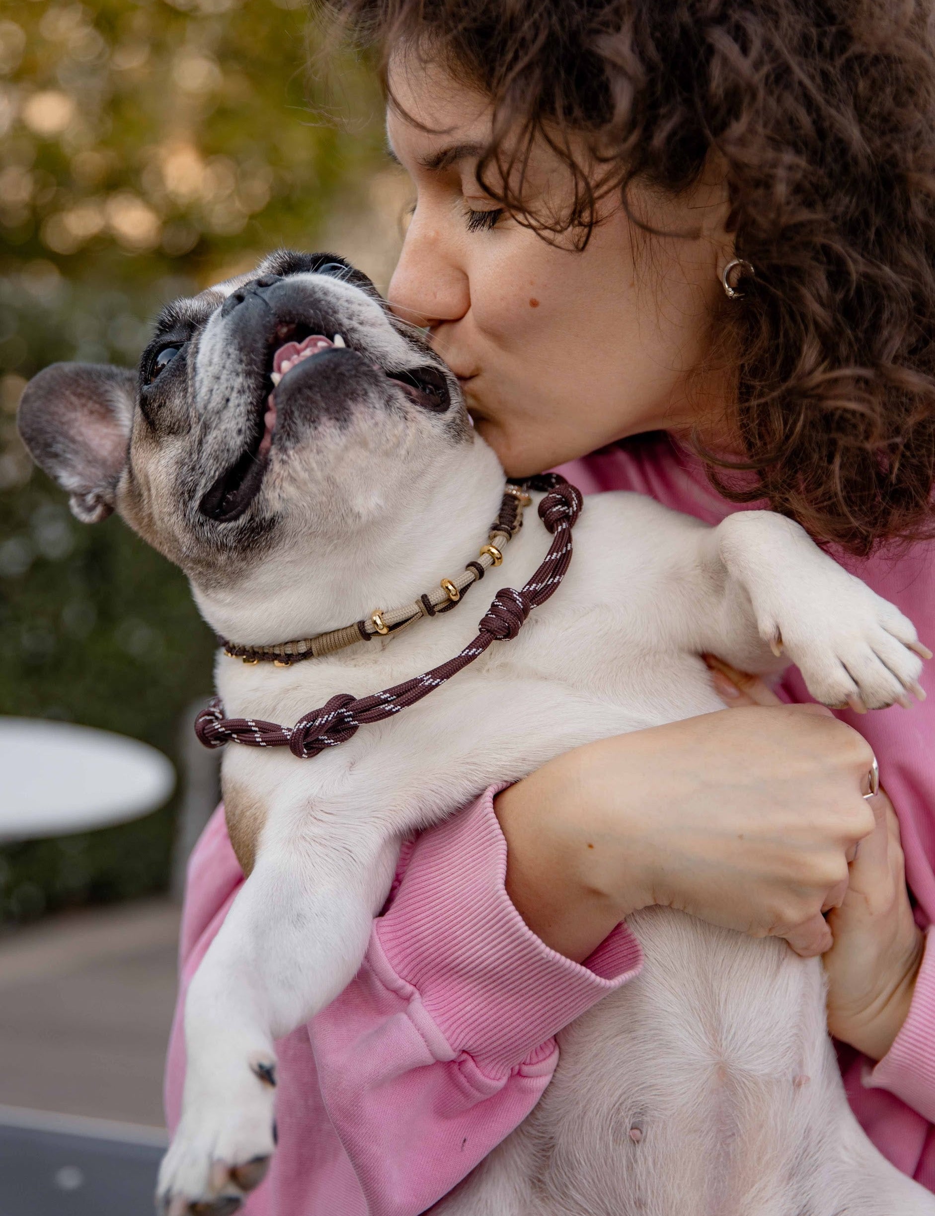 Travelling With Your Dog: The Practical European Checklist