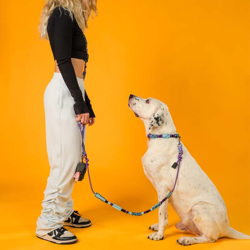 Handmade Dog Collars: Sizing, Fit and Care (Honest Guide)