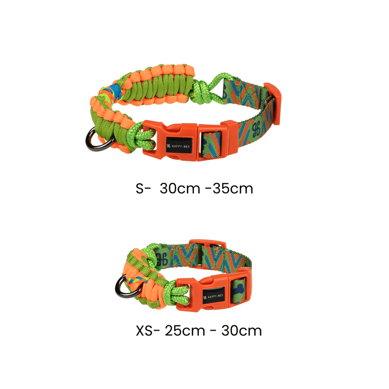 Mango clearance dog collar